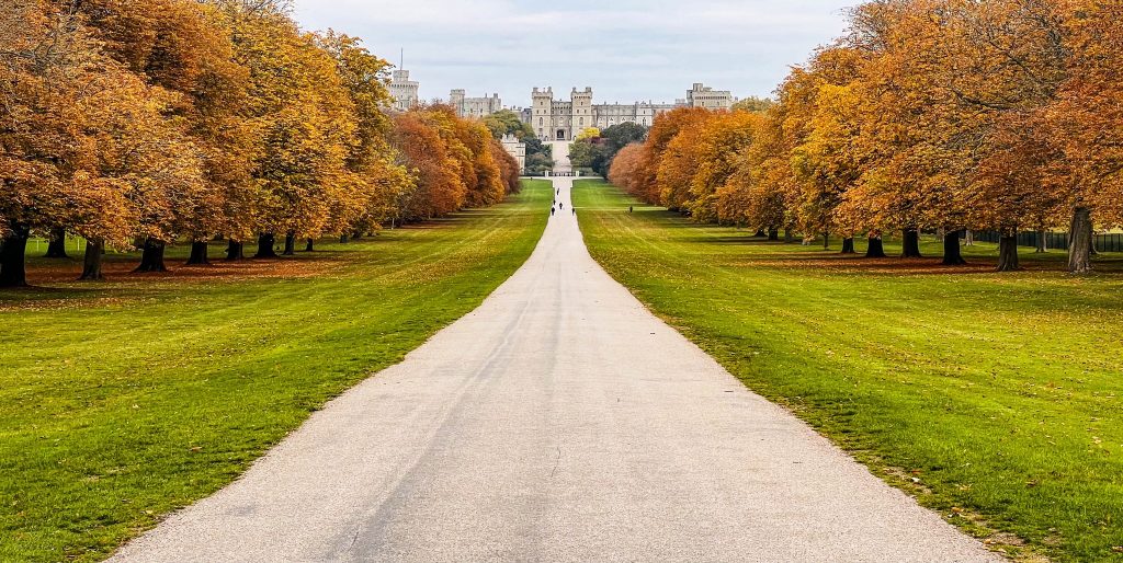 Image Credit Edward Greville b